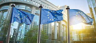 ESG Research: EU Deforestation Dissuasion