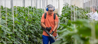 ESG Research: Food & Beverage/Agriculture